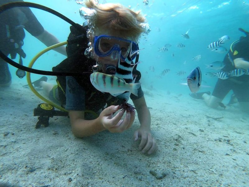 Discover Scuba Diving (lagoon) open water dive