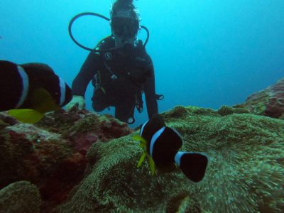 Scuba Diver ( all inclusive & 2 dives )